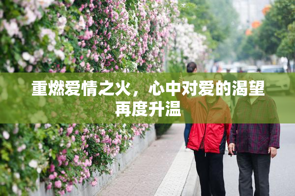 重燃爱情之火，心中对爱的渴望再度升温