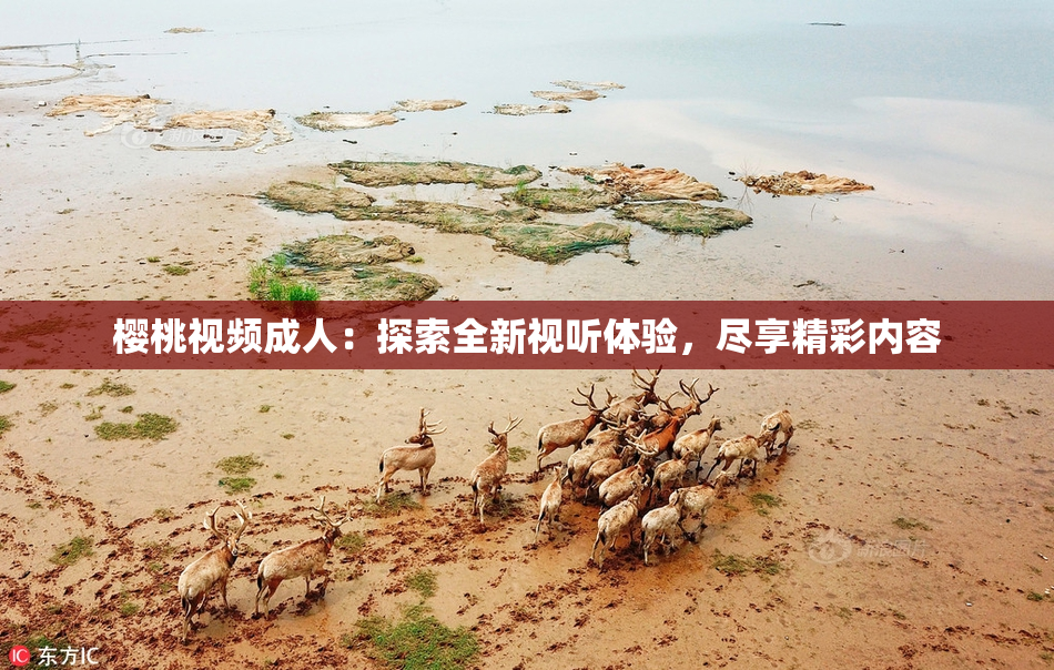 樱桃视频成人：探索全新视听体验，尽享精彩内容