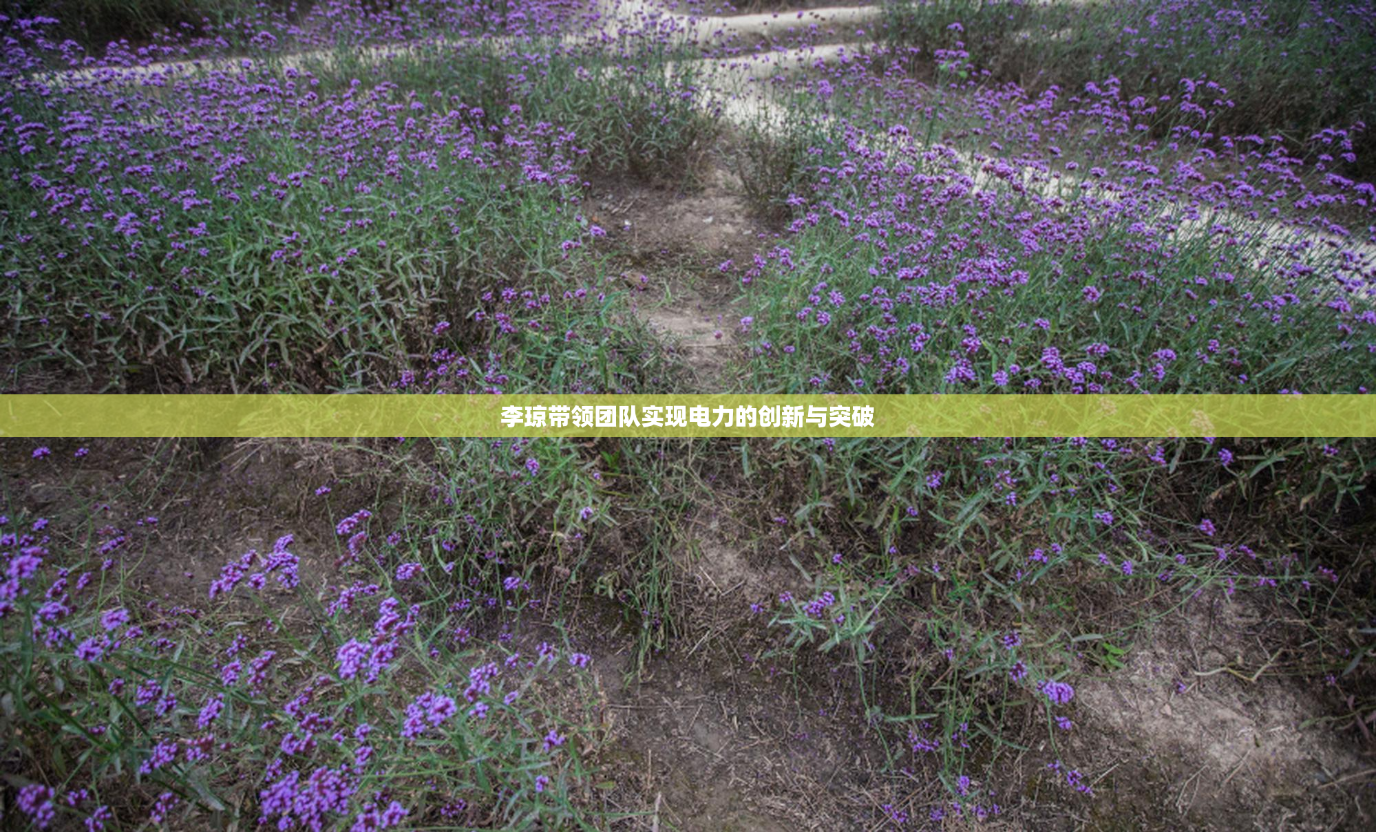 李琼带领团队实现电力的创新与突破