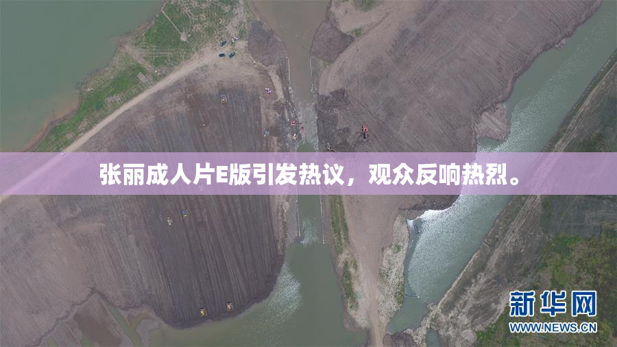 张丽成人片E版引发热议，观众反响热烈。