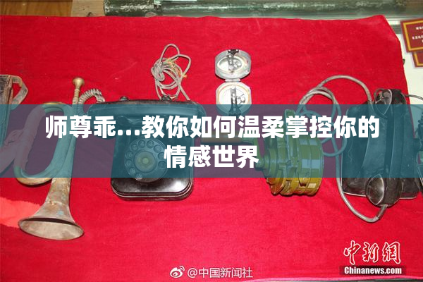 师尊乖…教你如何温柔掌控你的情感世界