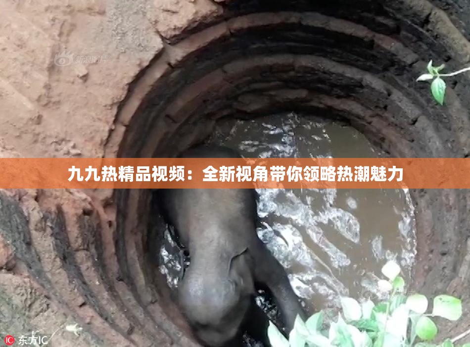 九九热精品视频：全新视角带你领略热潮魅力