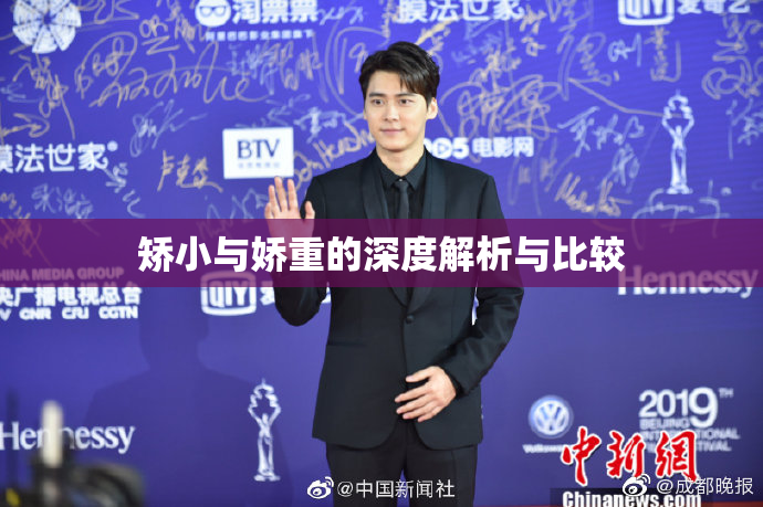矫小与娇重的深度解析与比较