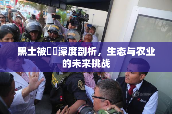 黑土被❌‌深度剖析，生态与农业的未来挑战
