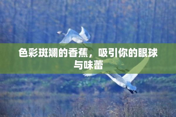 色彩斑斓的香蕉，吸引你的眼球与味蕾