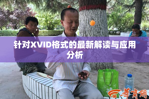 针对XVID格式的最新解读与应用分析