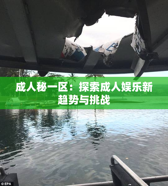 成人秘一区：探索成人娱乐新趋势与挑战