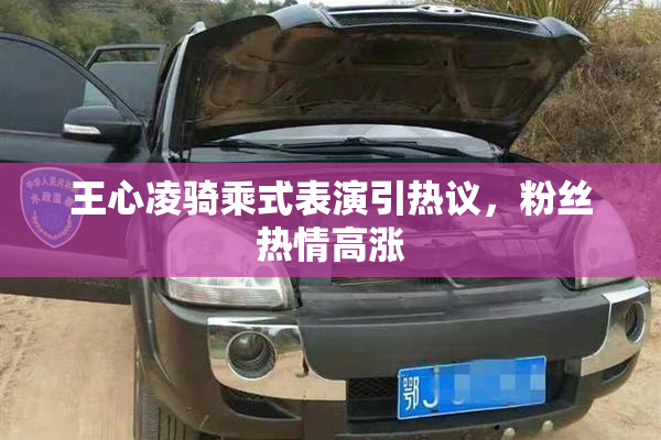 王心凌骑乘式表演引热议，粉丝热情高涨