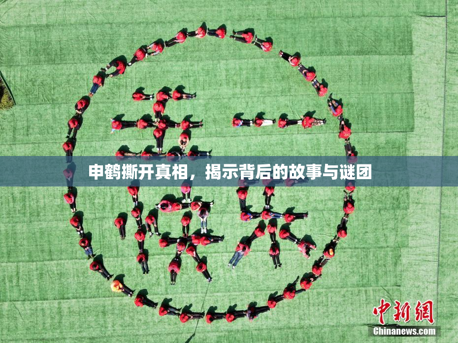 申鹤撕开真相，揭示背后的故事与谜团