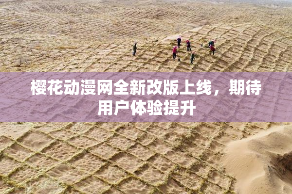 樱花动漫网全新改版上线，期待用户体验提升