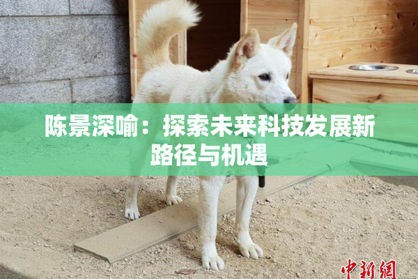 陈景深喻：探索未来科技发展新路径与机遇