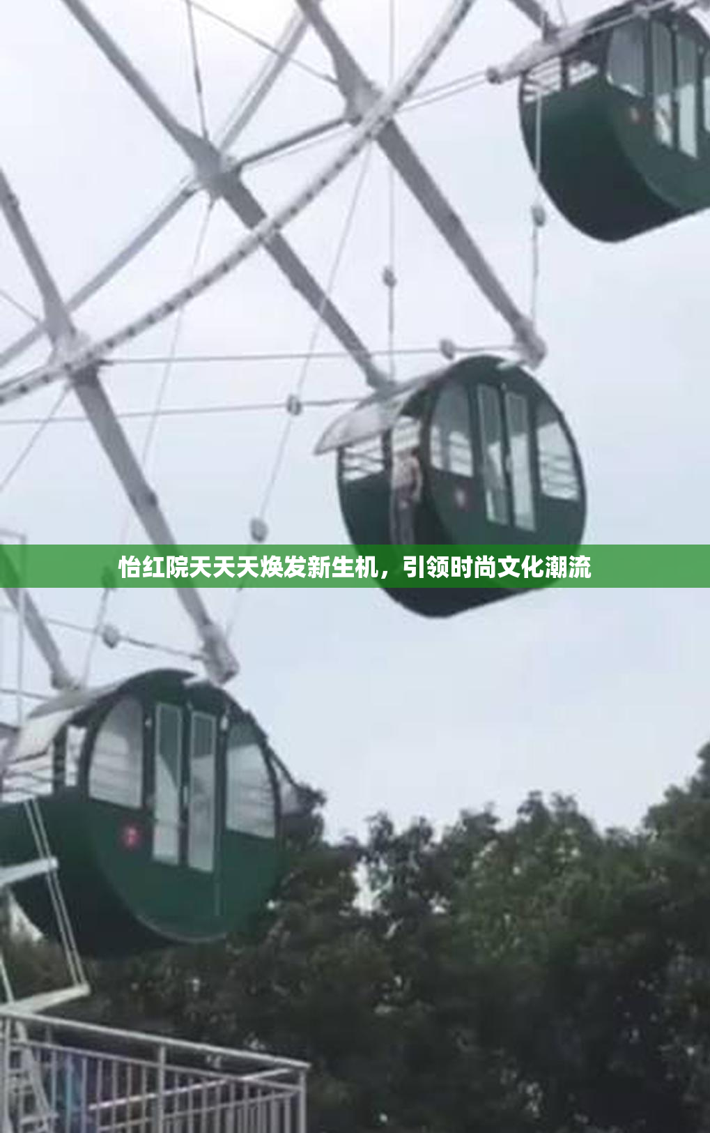 怡红院天天天焕发新生机，引领时尚文化潮流