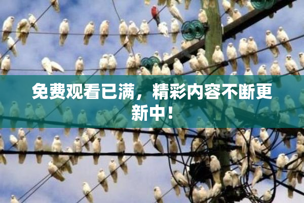 免费观看已满，精彩内容不断更新中！