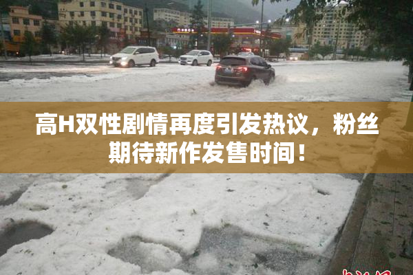 高H双性剧情再度引发热议，粉丝期待新作发售时间！