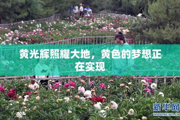 黄光辉照耀大地，黄色的梦想正在实现