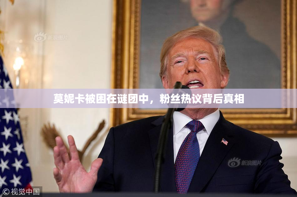 莫妮卡被困在谜团中，粉丝热议背后真相