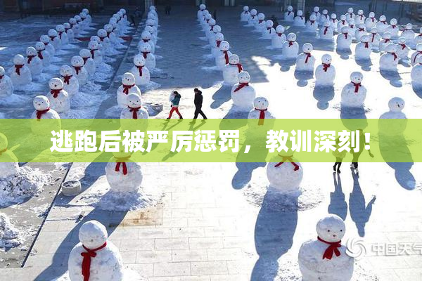 逃跑后被严厉惩罚，教训深刻！