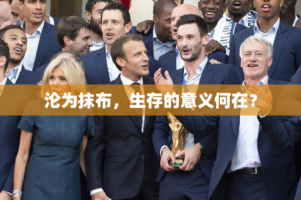 沦为抹布，生存的意义何在？