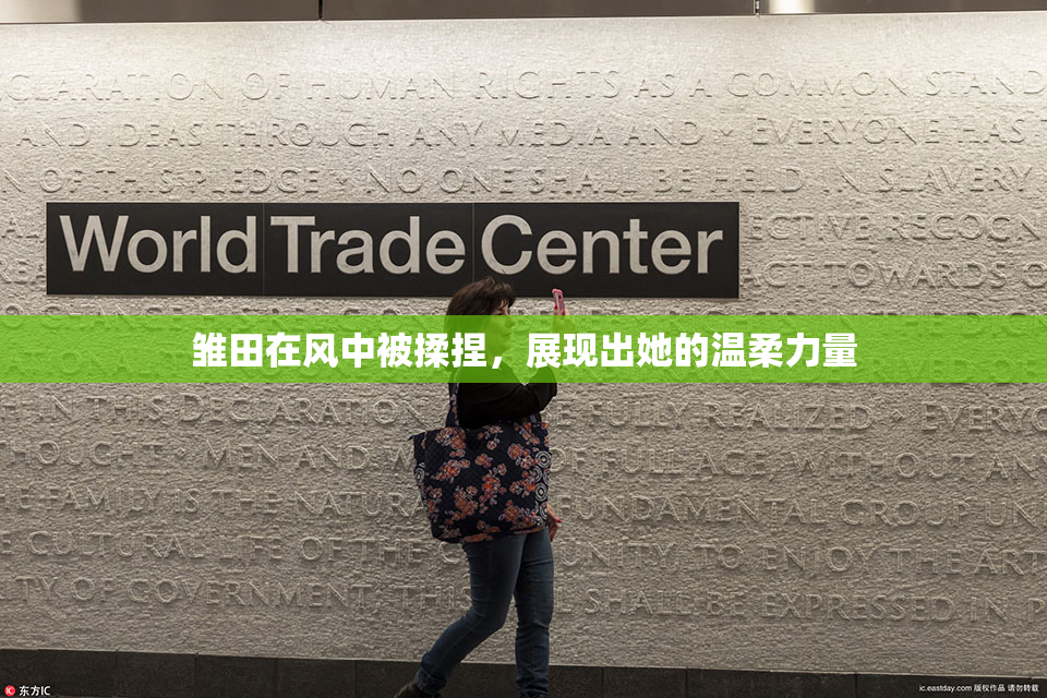 雏田在风中被揉捏，展现出她的温柔力量