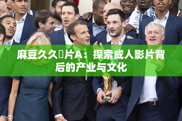 麻豆久久婬片A：探索成人影片背后的产业与文化