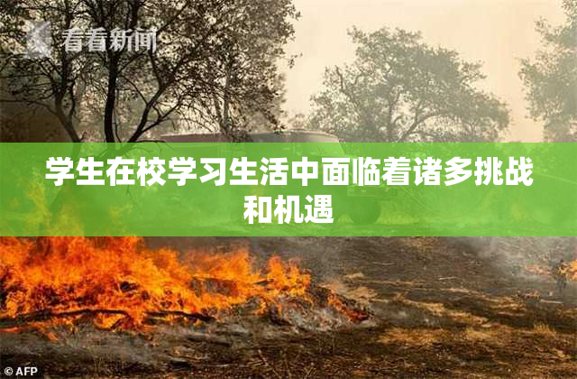 学生在校学习生活中面临着诸多挑战和机遇