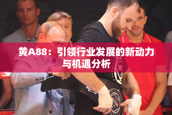 黄A88：引领行业发展的新动力与机遇分析