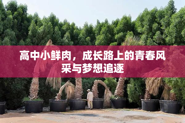 高中小鲜肉，成长路上的青春风采与梦想追逐