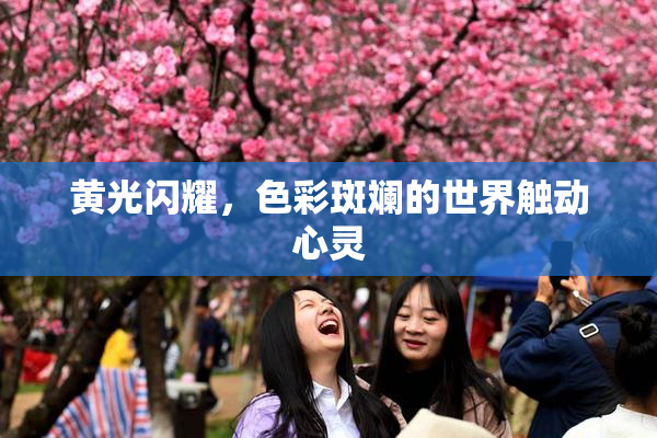 黄光闪耀，色彩斑斓的世界触动心灵