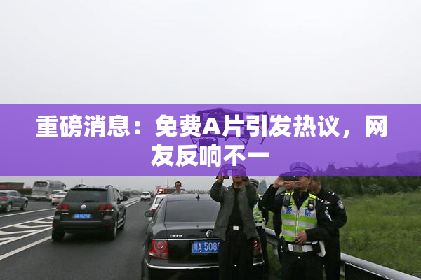 重磅消息：免费A片引发热议，网友反响不一