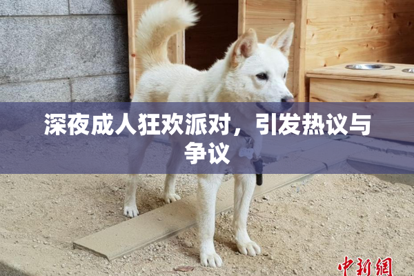 深夜成人狂欢派对，引发热议与争议
