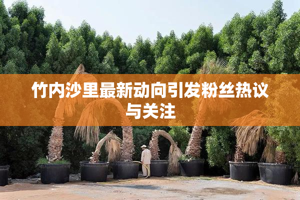 竹内沙里最新动向引发粉丝热议与关注