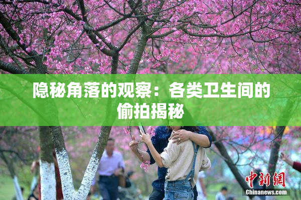 隐秘角落的观察：各类卫生间的偷拍揭秘