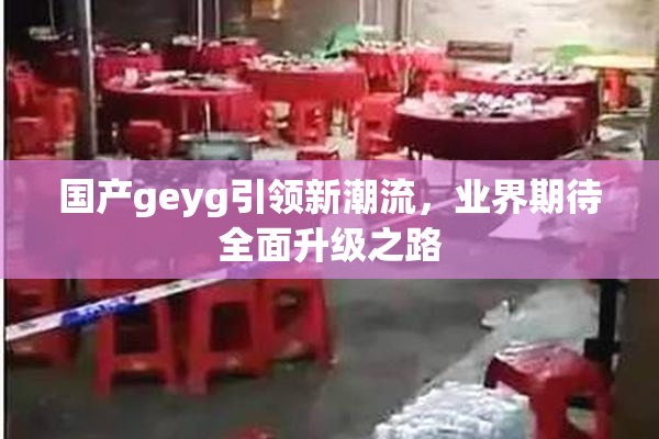 国产geyg引领新潮流，业界期待全面升级之路
