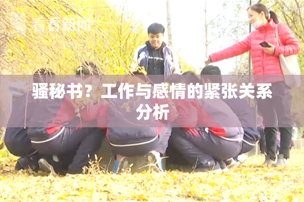 骚秘书？工作与感情的紧张关系分析