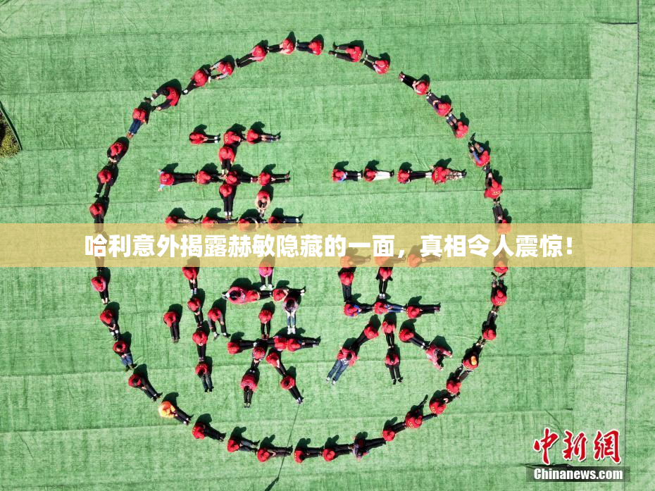 哈利意外揭露赫敏隐藏的一面，真相令人震惊！
