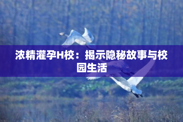 浓精灌孕H校：揭示隐秘故事与校园生活