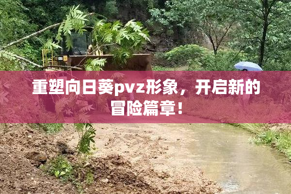 重塑向日葵pvz形象，开启新的冒险篇章！