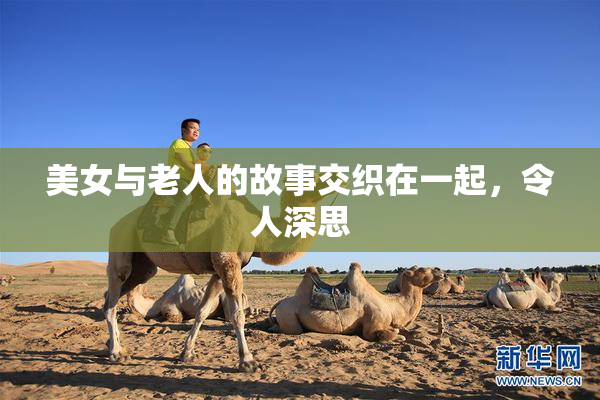 美女与老人的故事交织在一起，令人深思