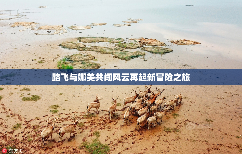 路飞与娜美共闯风云再起新冒险之旅
