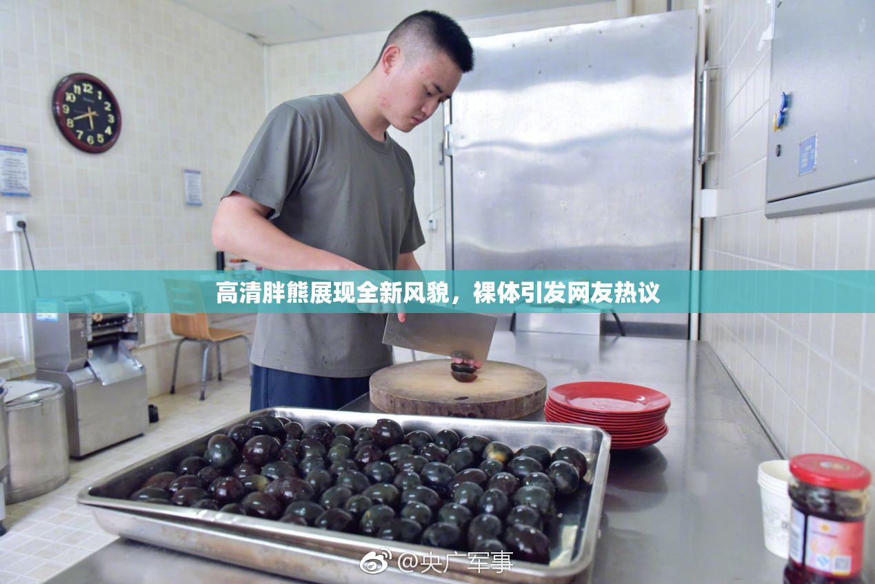 高清胖熊展现全新风貌，裸体引发网友热议