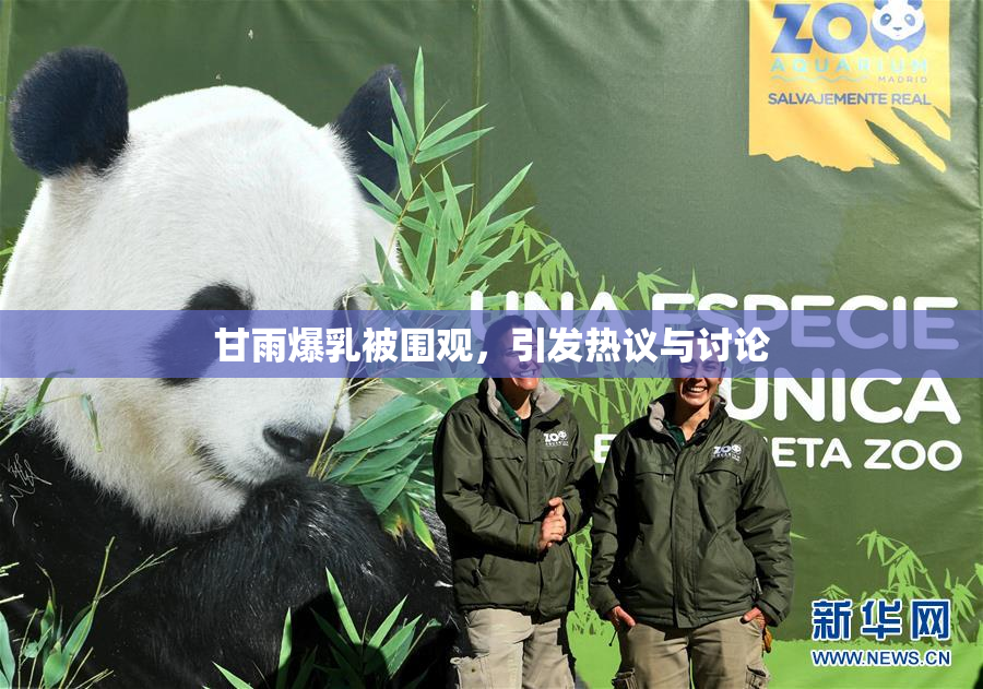甘雨爆乳被围观，引发热议与讨论