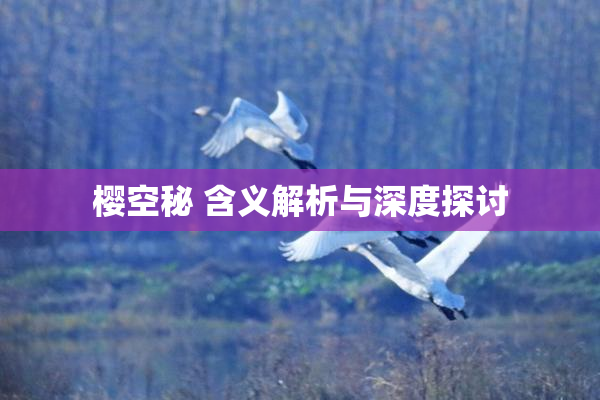 樱空秘 含义解析与深度探讨
