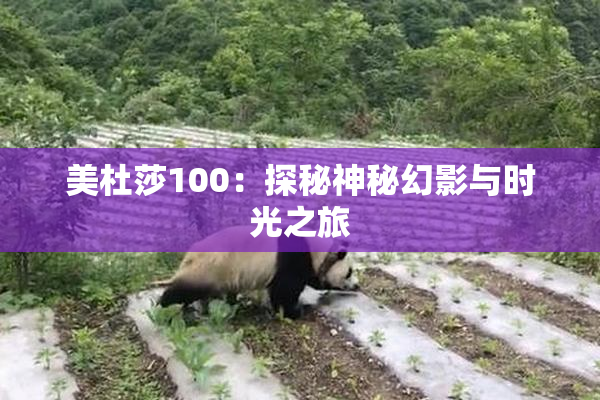 美杜莎100：探秘神秘幻影与时光之旅