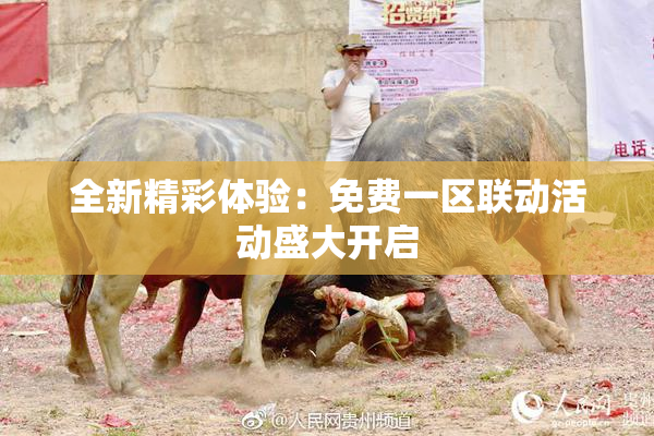 全新精彩体验：免费一区联动活动盛大开启