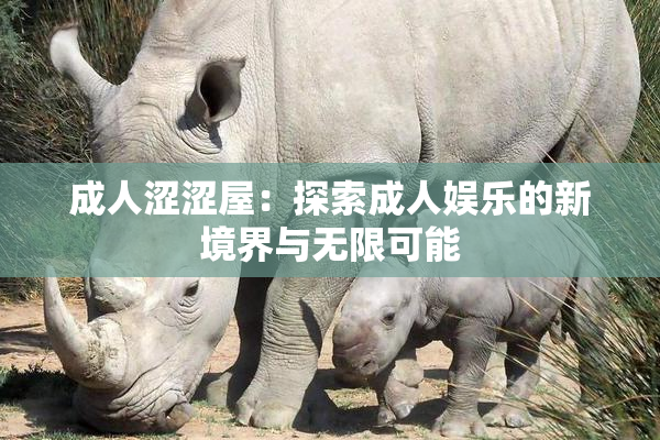 成人涩涩屋：探索成人娱乐的新境界与无限可能