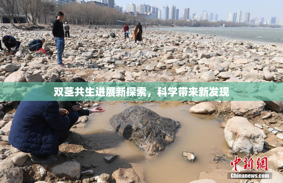 双茎共生进展新探索，科学带来新发现