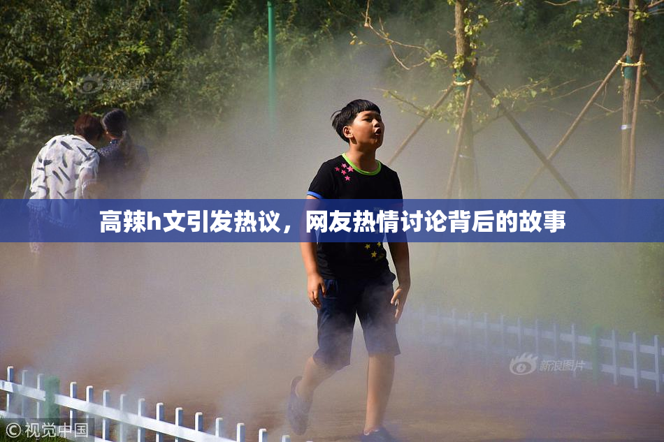 高辣h文引发热议，网友热情讨论背后的故事