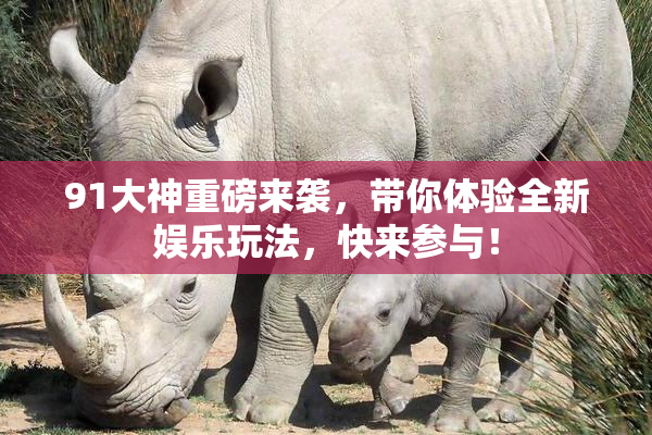 91大神重磅来袭，带你体验全新娱乐玩法，快来参与！