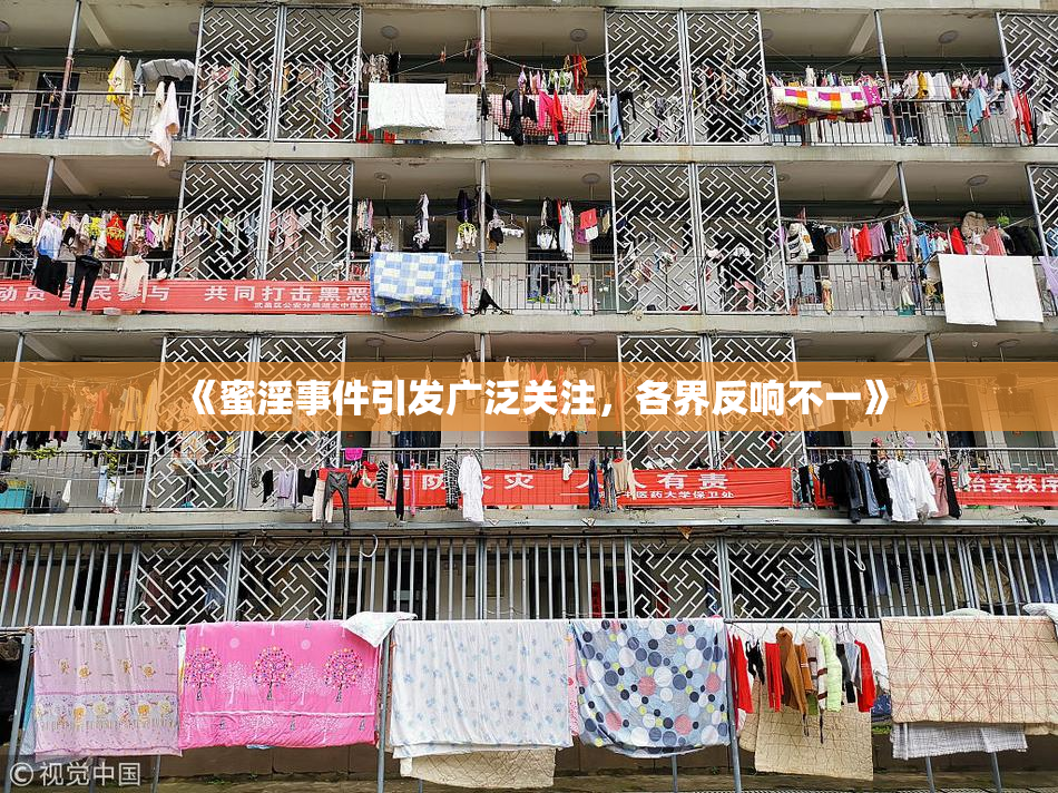 《蜜淫事件引发广泛关注，各界反响不一》