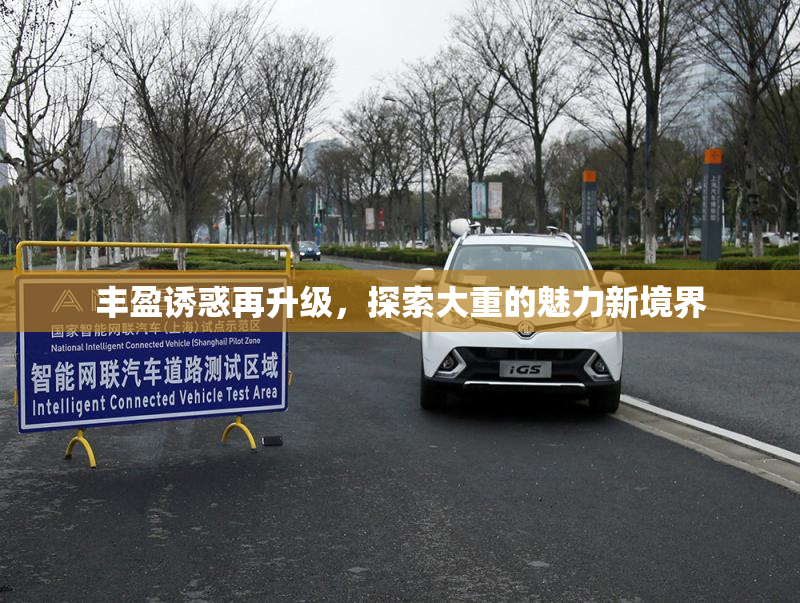 丰盈诱惑再升级，探索大重的魅力新境界